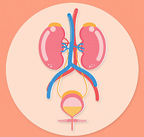 Urinary Problems